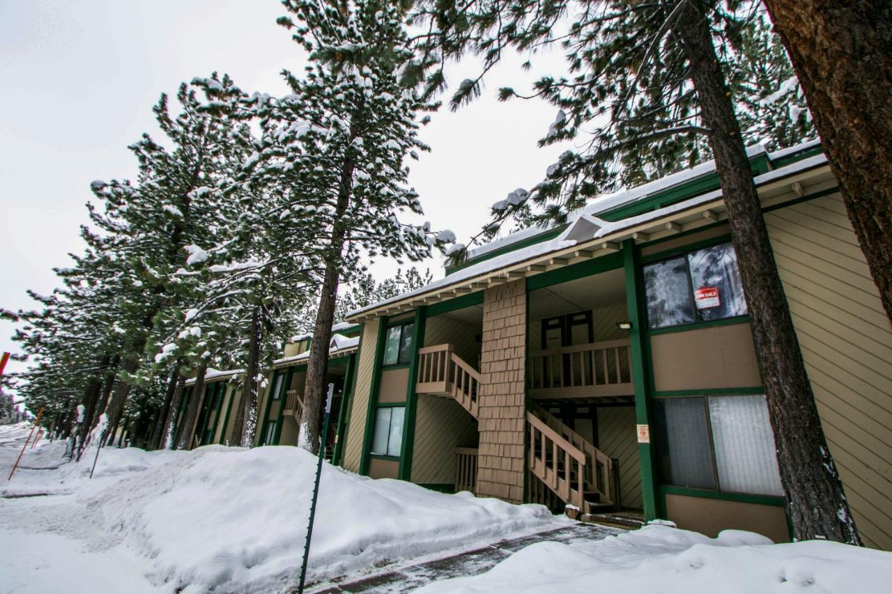 Apartment Sunshine Village 104